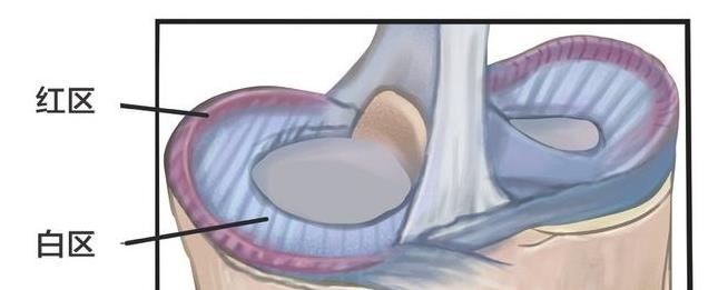 看看有没有, amp